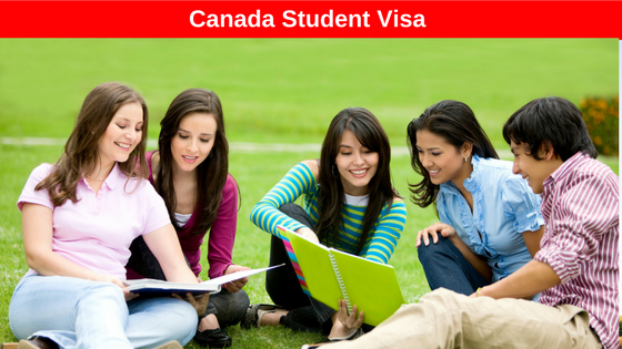 Image result for canadian student visa